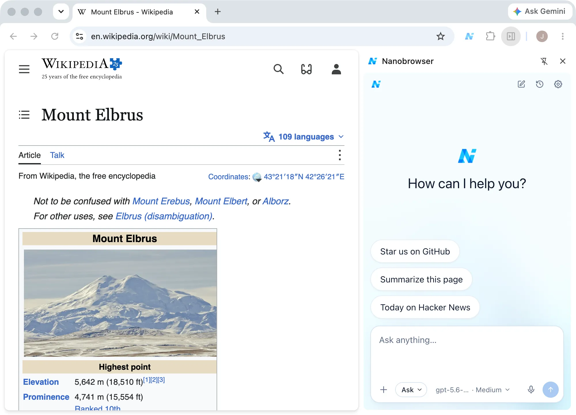 A new chat in the side panel next to a Wikipedia article, with starter ideas such as Summarize this page above the Ask anything box
