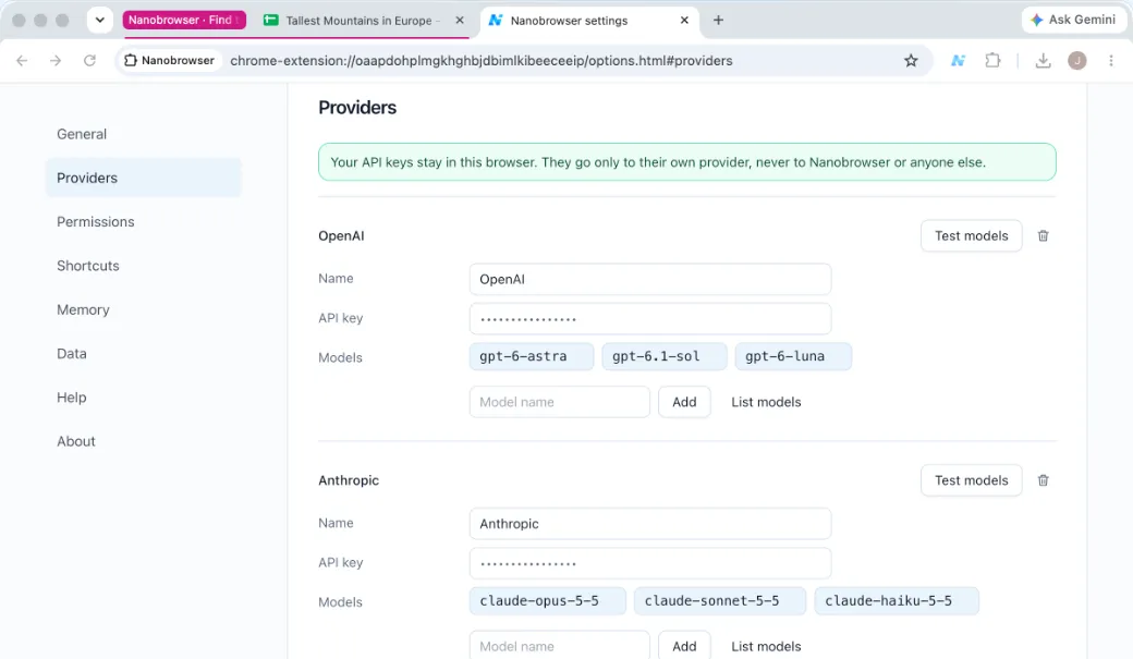 Nanobrowser provider settings